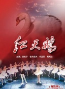 魔域永恒的最佳副本攻略